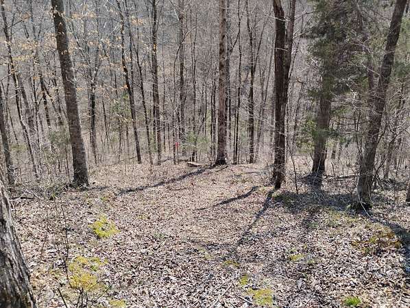 5.2 Acres of Residential Land for Sale in Waynesboro, Tennessee