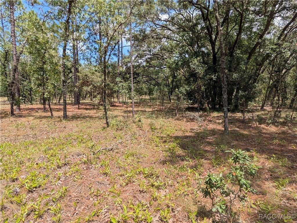1 Acre of Residential Land for Sale in Dunnellon, Florida