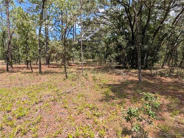 1 Acre of Residential Land for Sale in Dunnellon, Florida