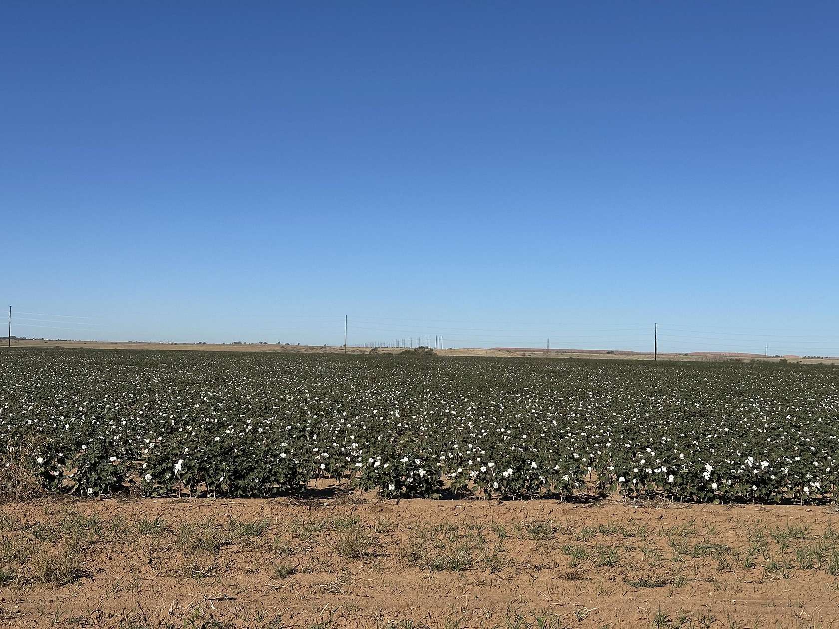 160 Acres of Agricultural & Residential Land for Sale in Abernathy, Texas