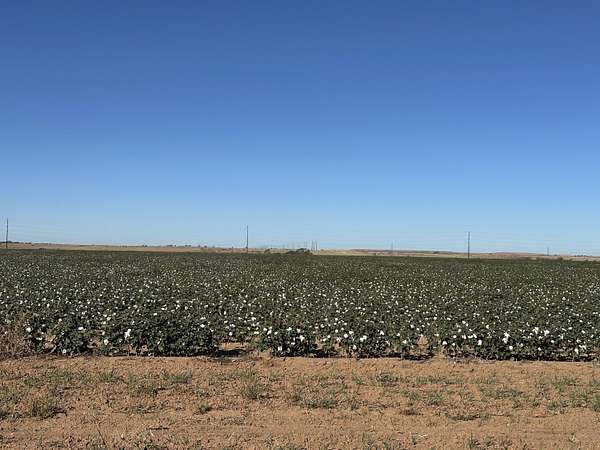 160 Acres of Agricultural & Residential Land for Sale in Abernathy, Texas