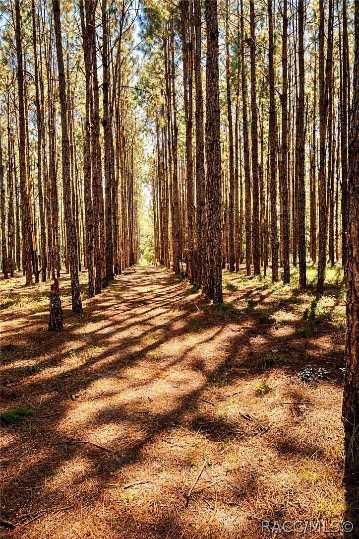 7.73 Acres of Land for Sale in Inverness, Florida