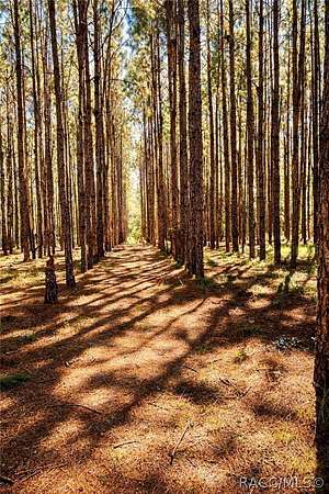 7.73 Acres of Land for Sale in Inverness, Florida