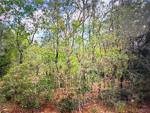 1 Acre of Residential Land for Sale in Inverness, Florida