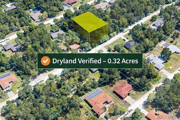 0.32 Acres of Residential Land for Sale in Weeki Wachee, Florida