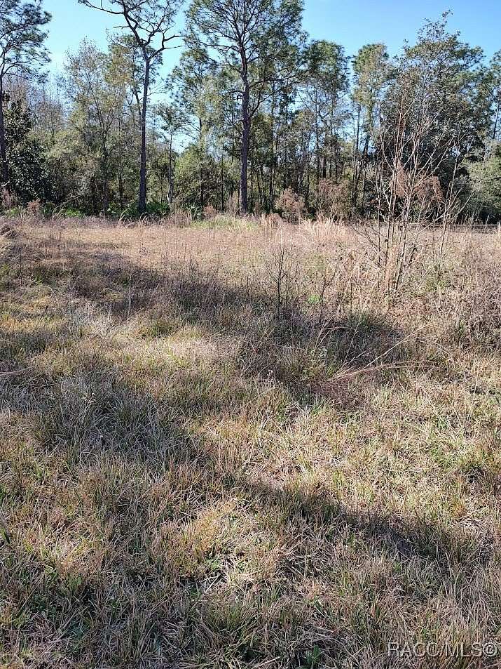0.28 Acres of Land for Sale in Homosassa, Florida
