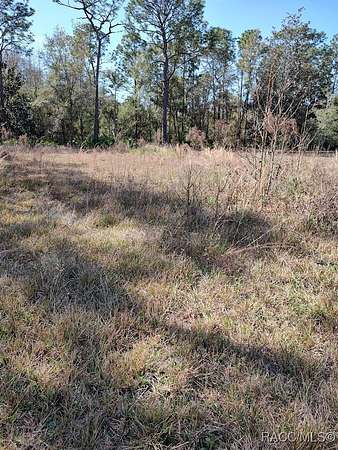 0.28 Acres of Land for Sale in Homosassa, Florida