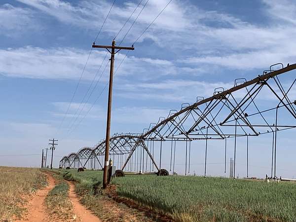 134 Acres of Land for Sale in Ropesville, Texas