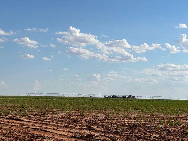 160 Acres of Agricultural & Residential Land for Sale in Ropesville, Texas