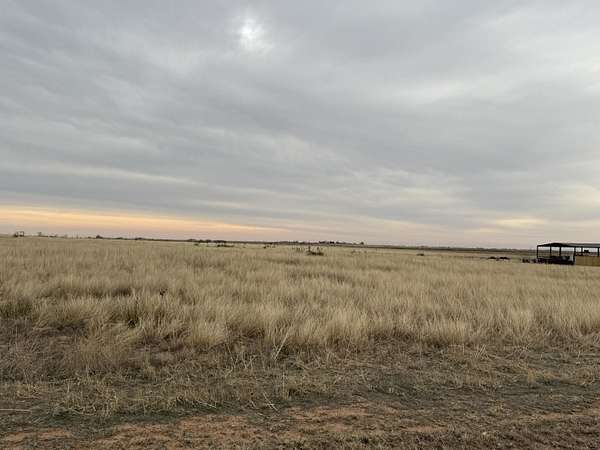 20 Acres of Land for Sale in Idalou, Texas