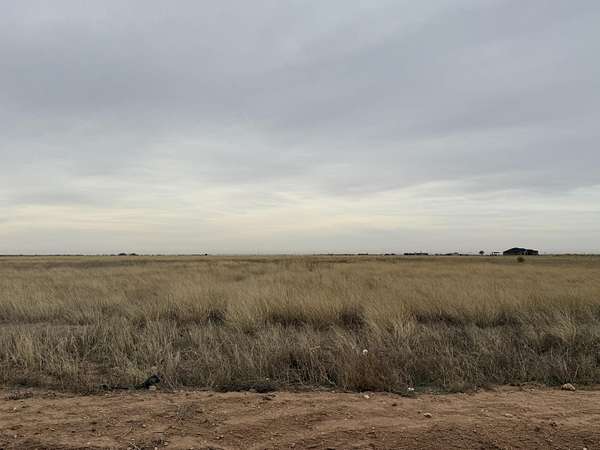 20 Acres of Land for Sale in Idalou, Texas