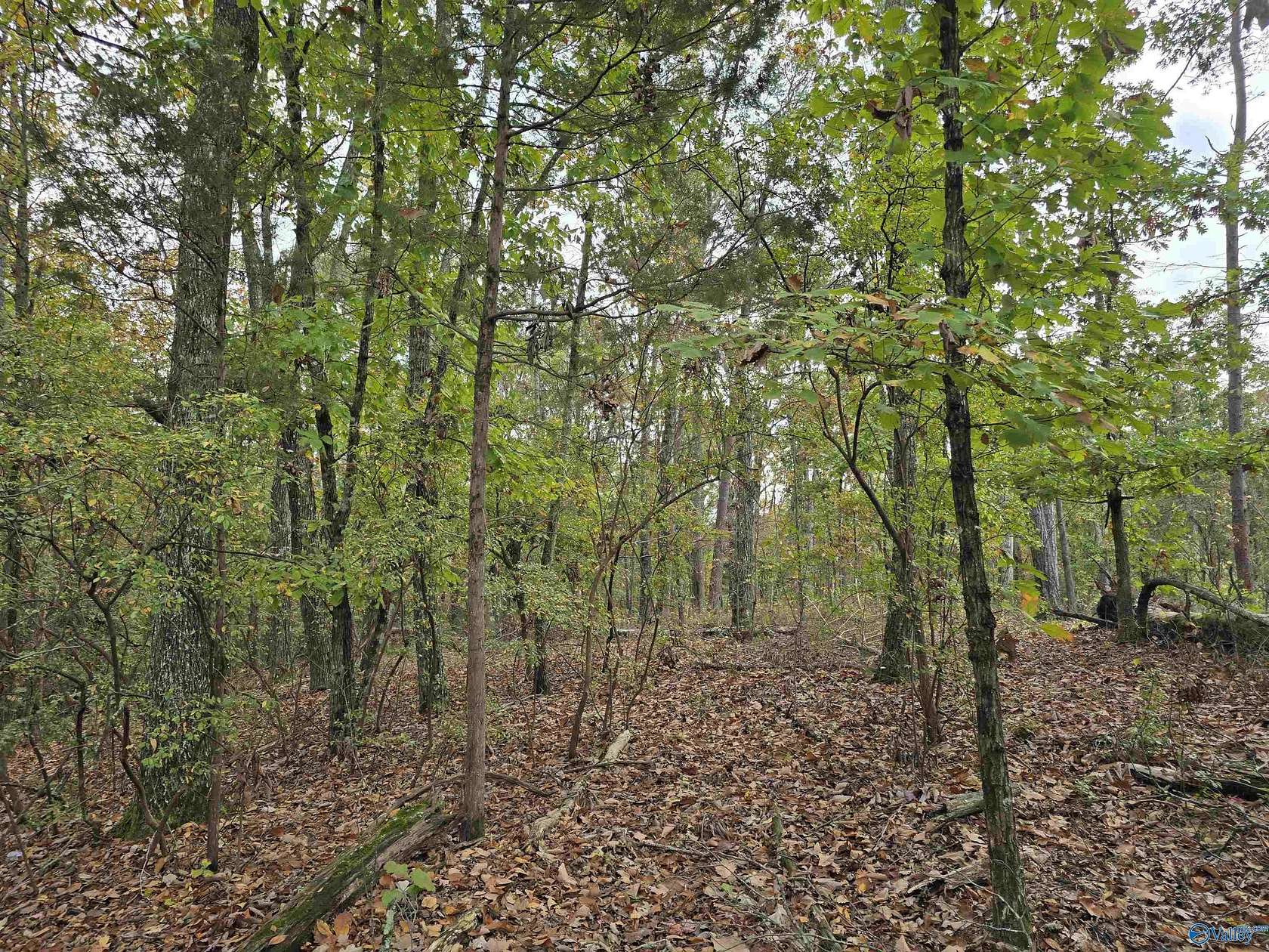 2 Acres of Residential Land for Sale in Huntsville, Alabama