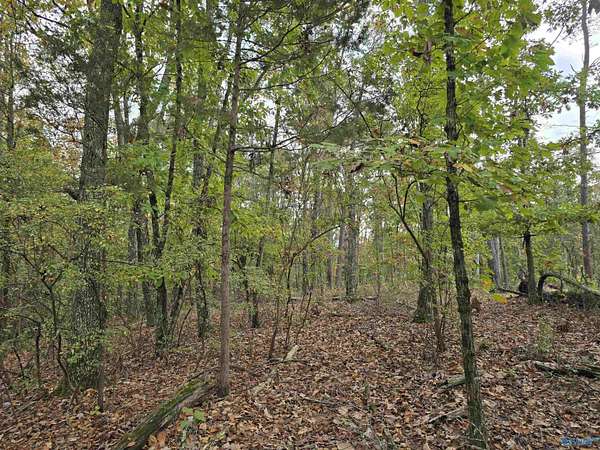 2 Acres of Residential Land for Sale in Huntsville, Alabama