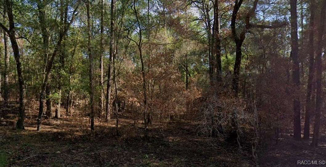 0.26 Acres of Residential Land for Sale in Citrus Springs, Florida
