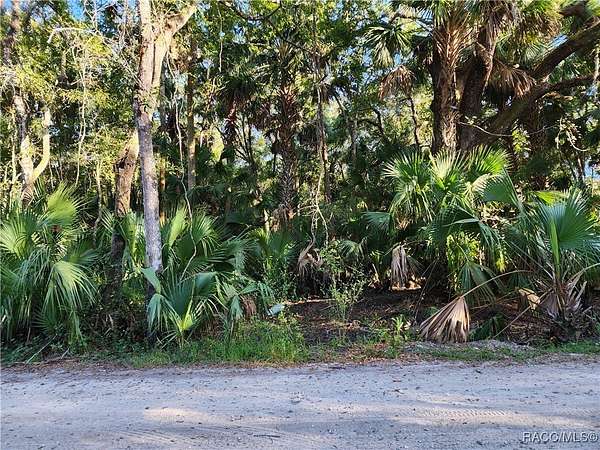 1.32 Acres of Land for Sale in Inverness, Florida