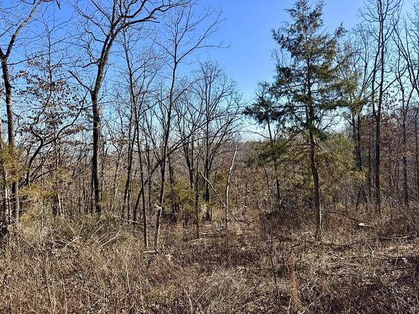 10 Acres of Land for Sale in Macomb, Missouri