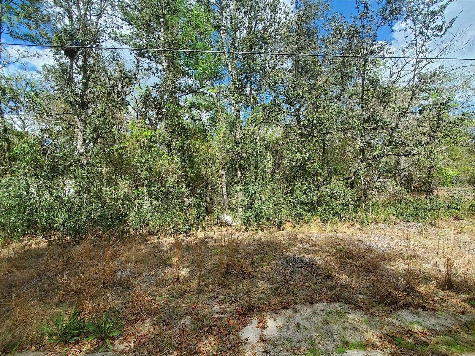 1.13 Acres of Residential Land for Sale in Fort McCoy, Florida