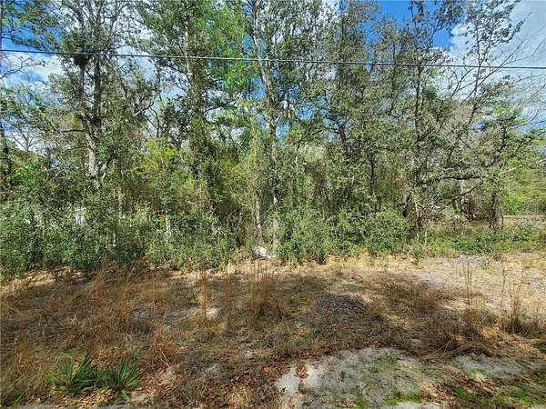 1.13 Acres of Residential Land for Sale in Fort McCoy, Florida
