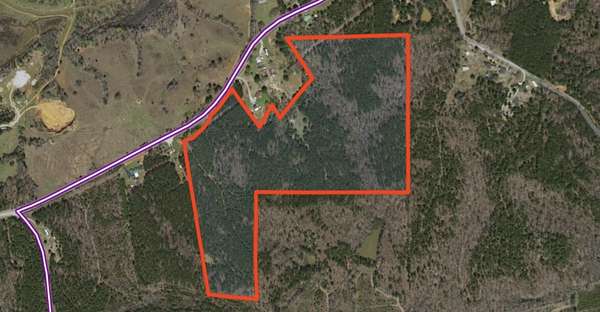 53.1 Acres of Recreational & Residential Land for Sale in Ripley, Mississippi