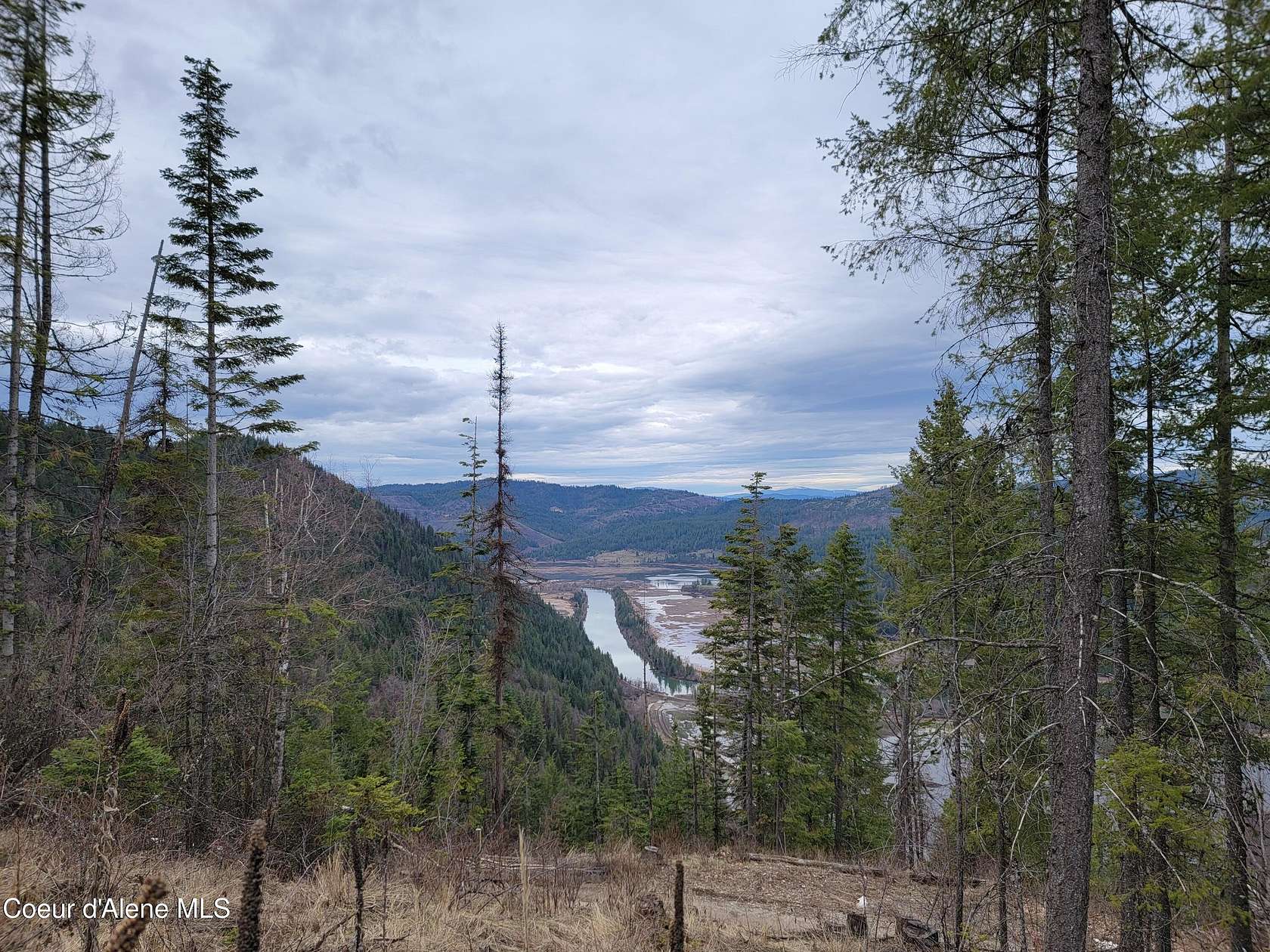 21.5 Acres of Recreational & Residential Land for Sale in Harrison, Idaho