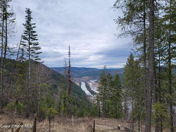 21.5 Acres of Recreational & Residential Land for Sale in Harrison, Idaho