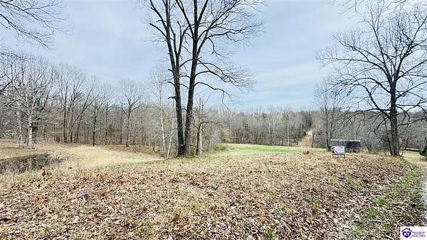 13.3 Acres of Land for Sale in Falls of Rough, Kentucky