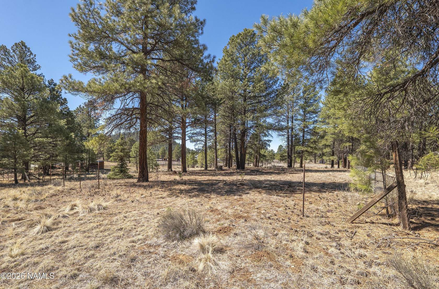 1.1 Acres of Residential Land for Sale in Parks, Arizona