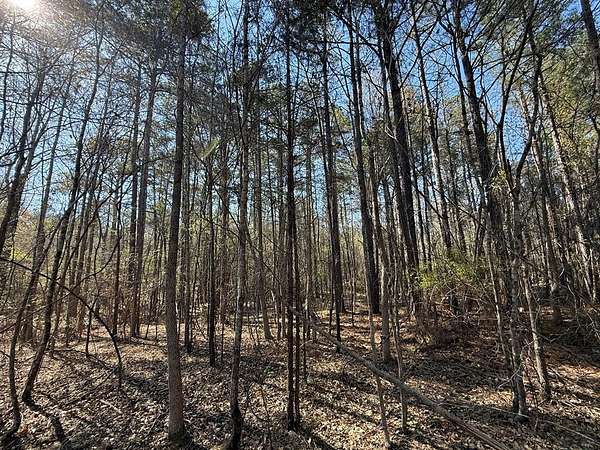 8 Acres of Residential Land for Sale in Bradley, South Carolina