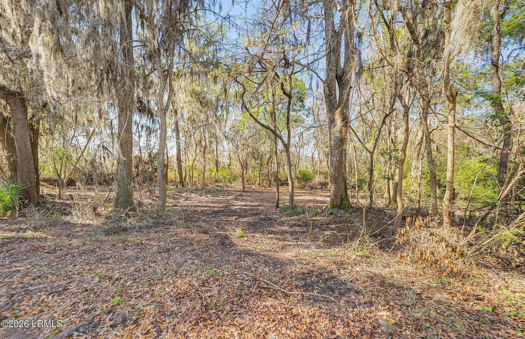 1 Acre of Mixed-Use Land for Sale in Beaufort, South Carolina