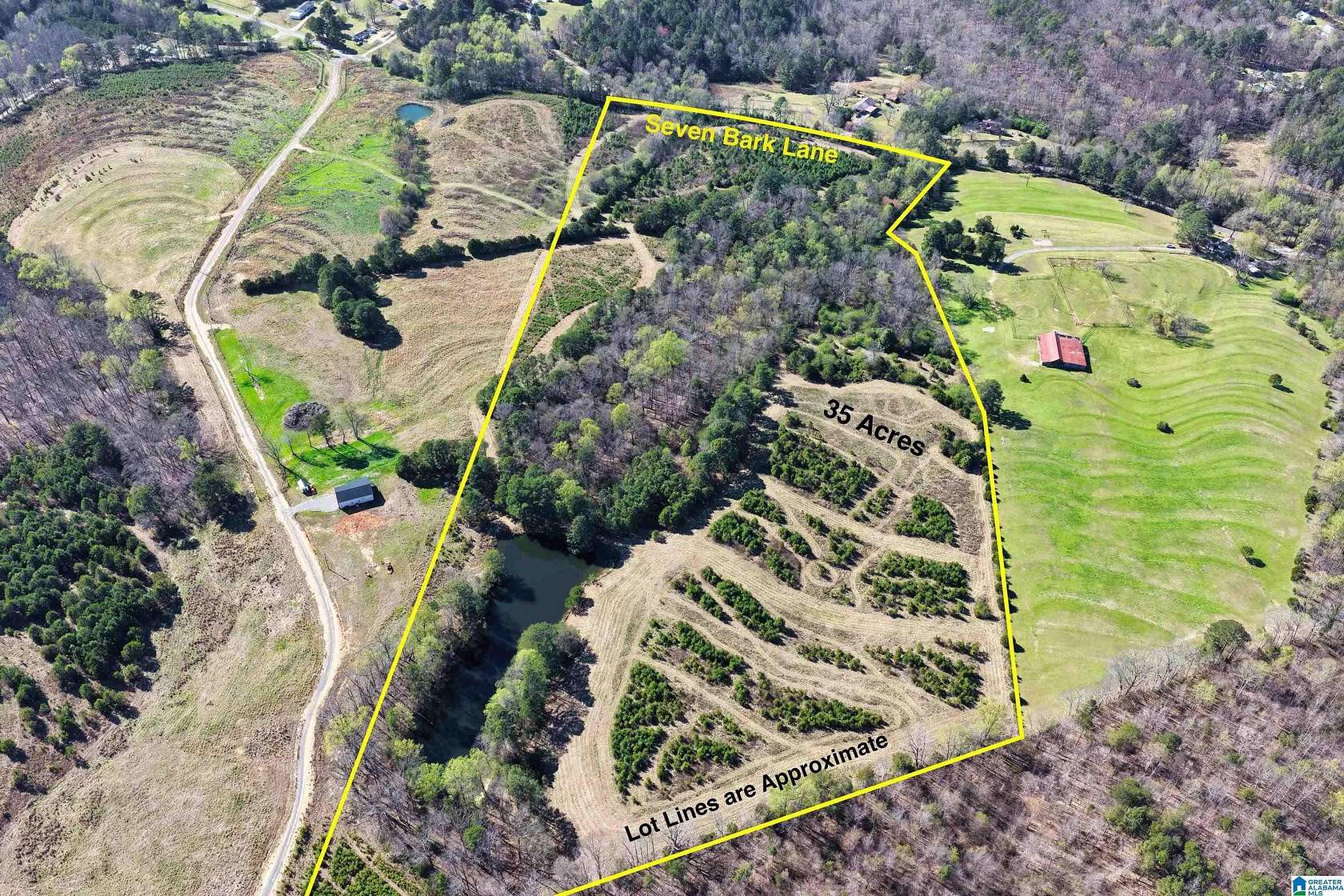 34.6 Acres of Land for Sale in Oneonta, Alabama