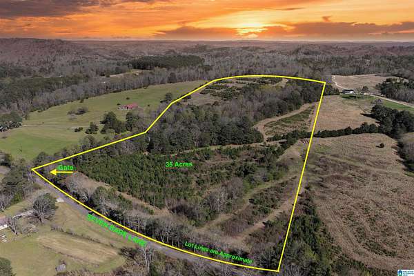 34.6 Acres of Land for Sale in Oneonta, Alabama