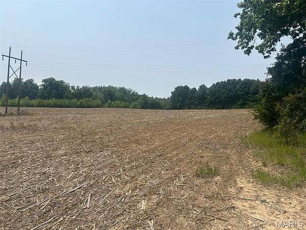 115 Acres of Agricultural Land for Auction in Mexico, Missouri