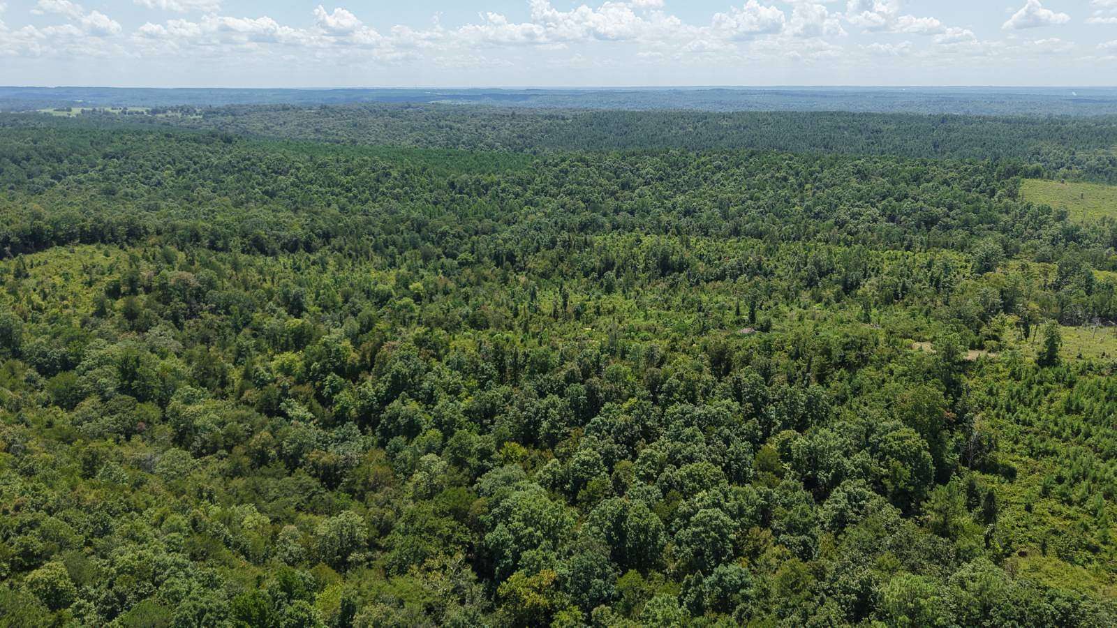34.3 Acres of Recreational Land for Sale in Gillham, Arkansas