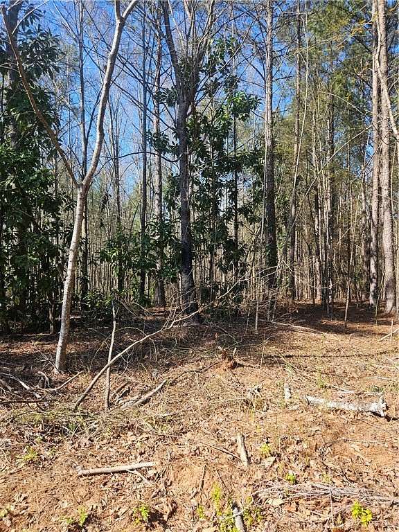 0.92 Acres of Residential Land for Sale in Liberty, South Carolina