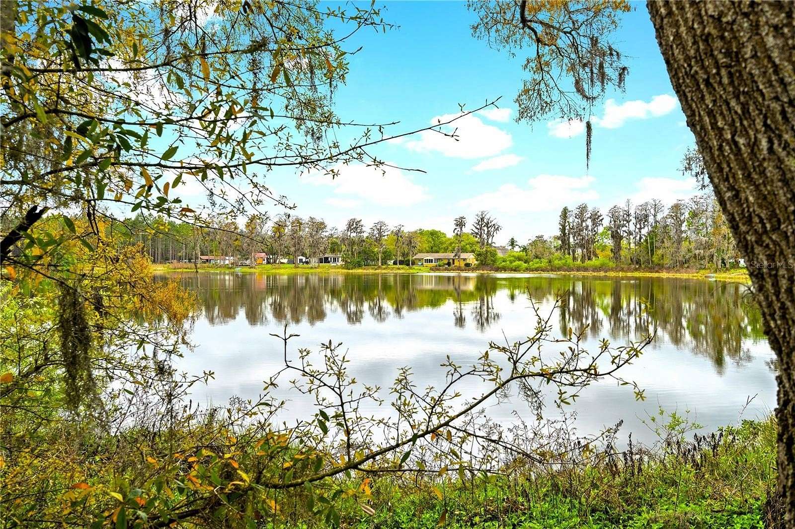 5 Acres of Land for Sale in Odessa, Florida