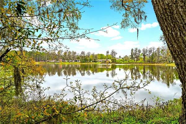 5 Acres of Land for Sale in Odessa, Florida