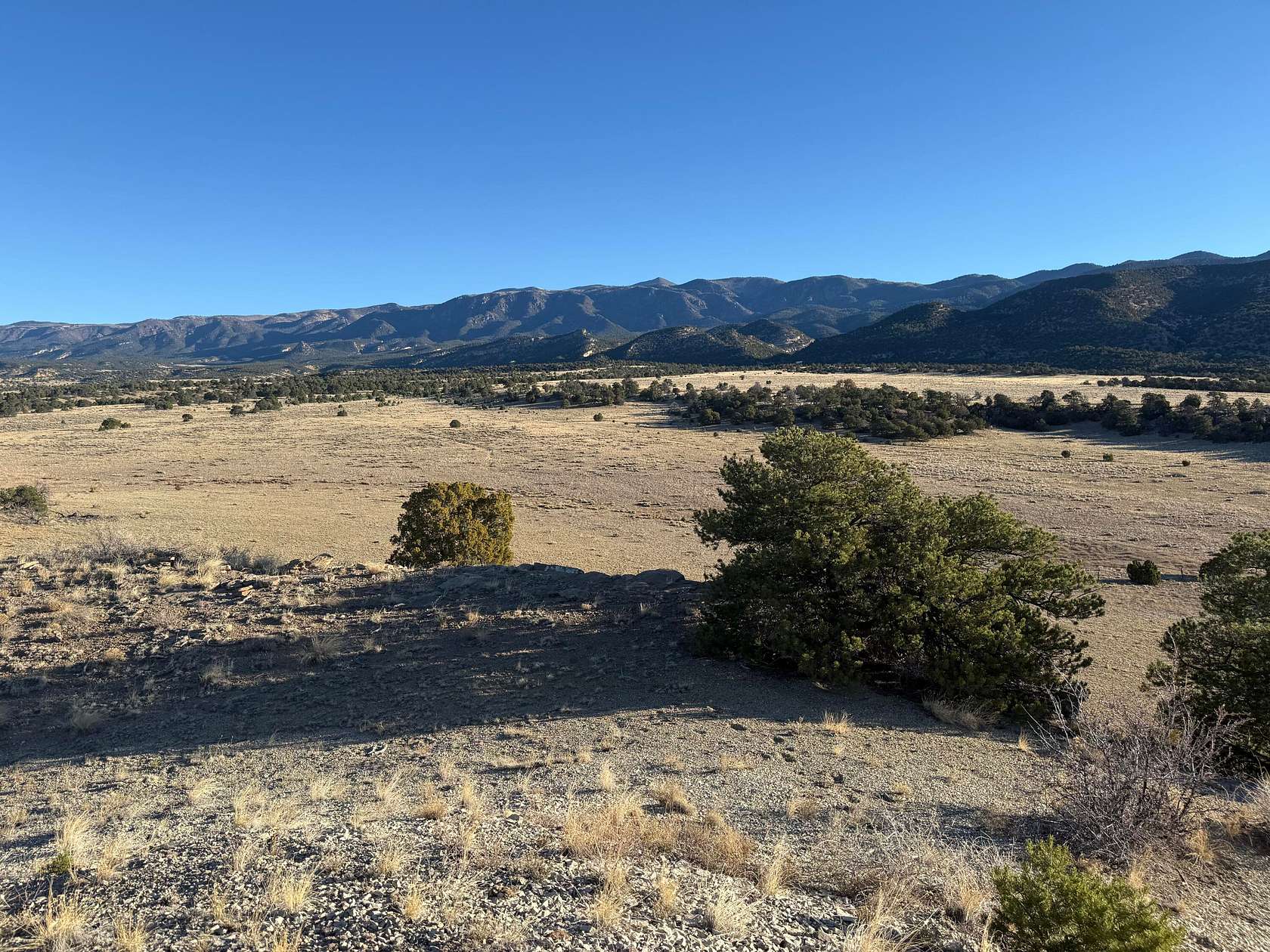 38 Acres of Land for Sale in Gardner, Colorado
