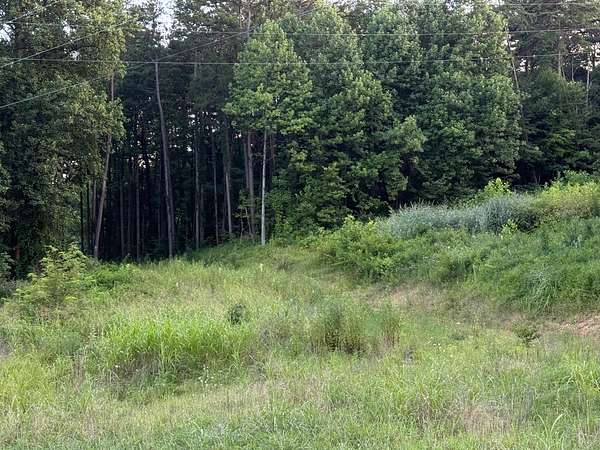 7 Acres of Residential Land for Sale in Tell City, Indiana