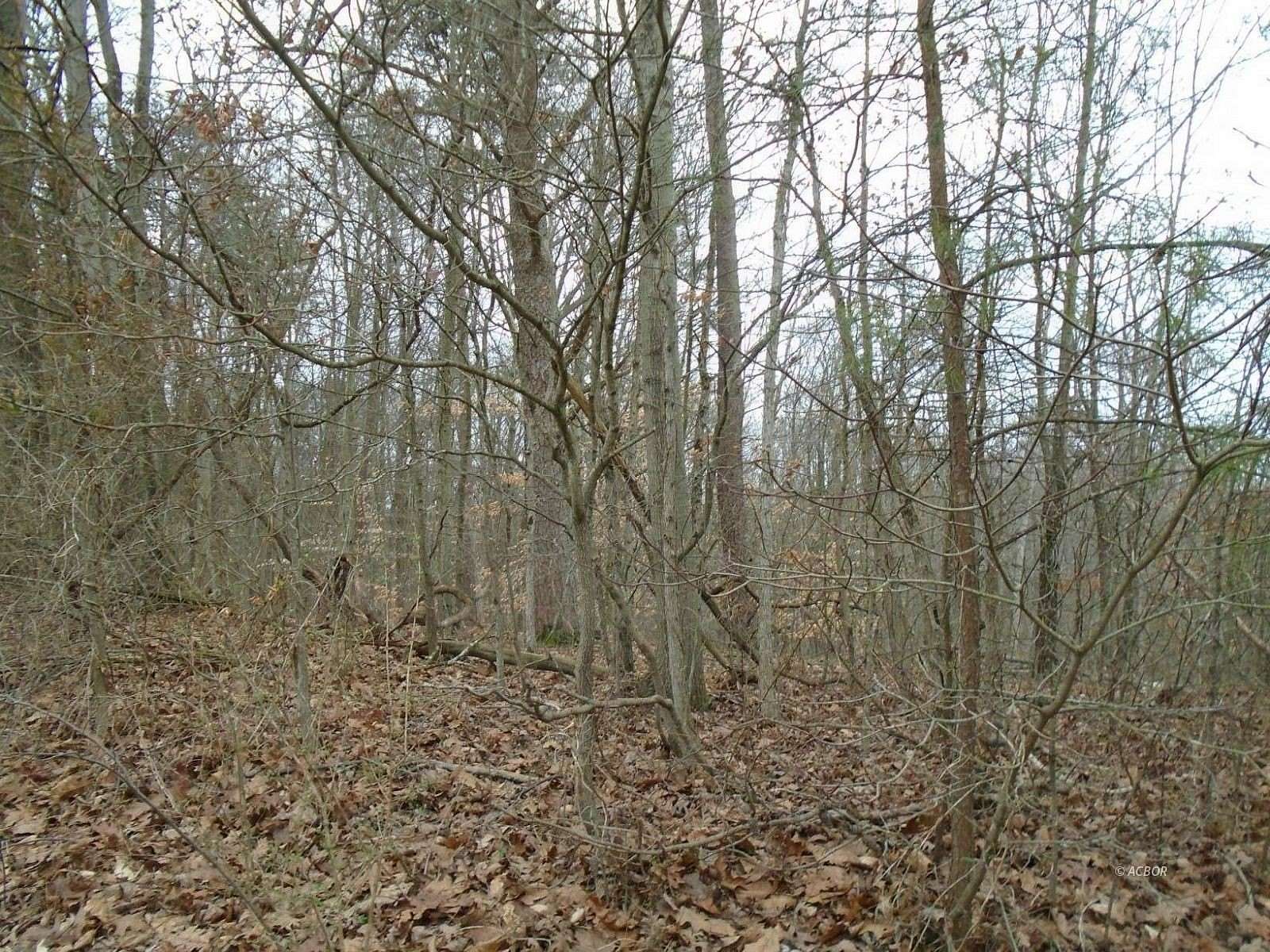 31.2 Acres of Recreational & Residential Land for Sale in Portland, Ohio