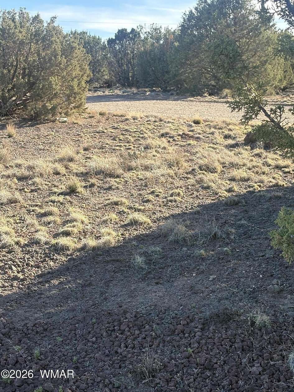 0.17 Acres of Residential Land for Sale in Show Low, Arizona