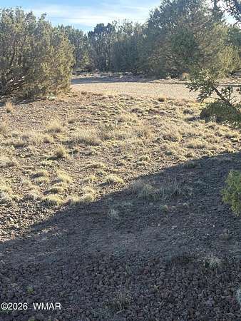 0.17 Acres of Residential Land for Sale in Show Low, Arizona