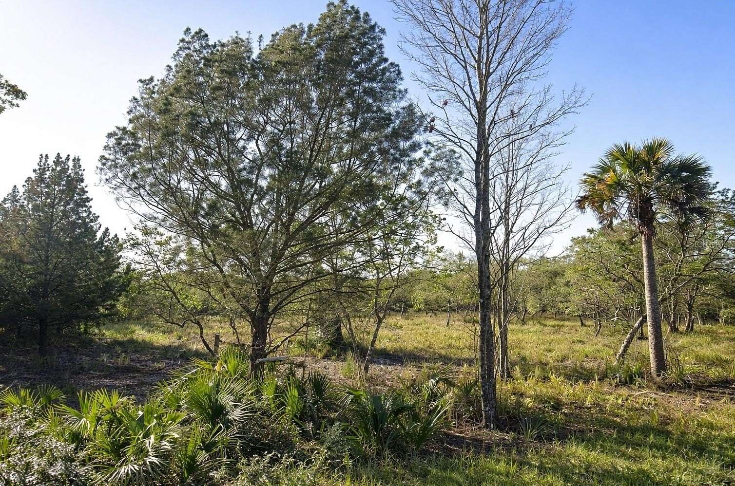 1.12 Acres of Residential Land for Sale in Cocoa, Florida