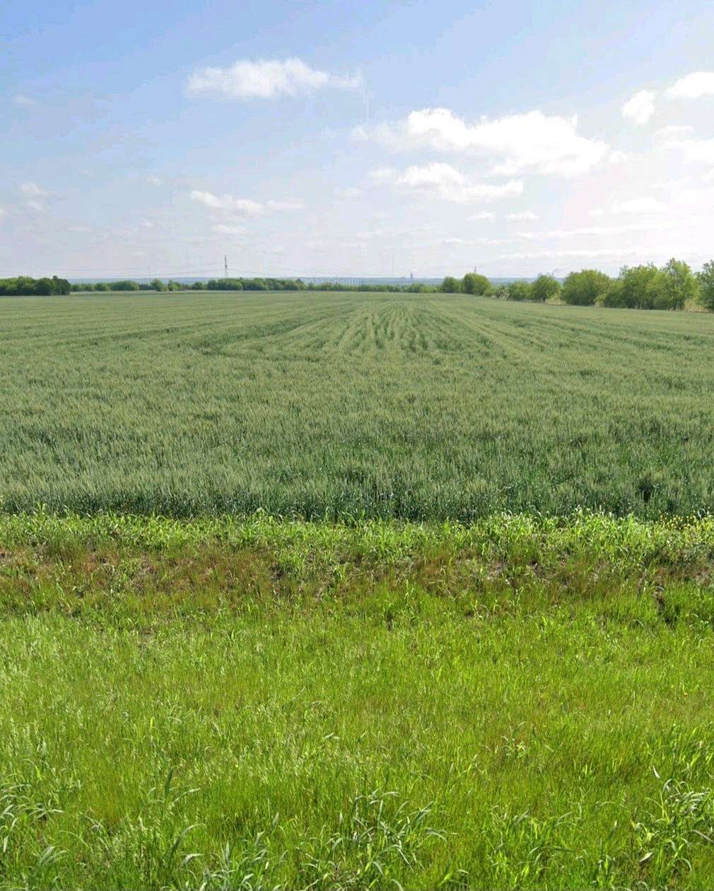 191 Acres of Agricultural Land for Sale in Venus, Texas