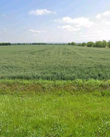 191 Acres of Agricultural Land for Sale in Venus, Texas