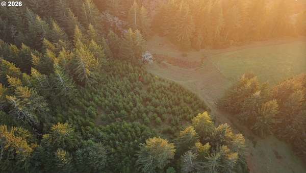 42.5 Acres of Land with Home for Sale in Langlois, Oregon