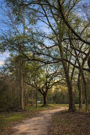 14 Acres of Land for Sale in Picayune, Mississippi