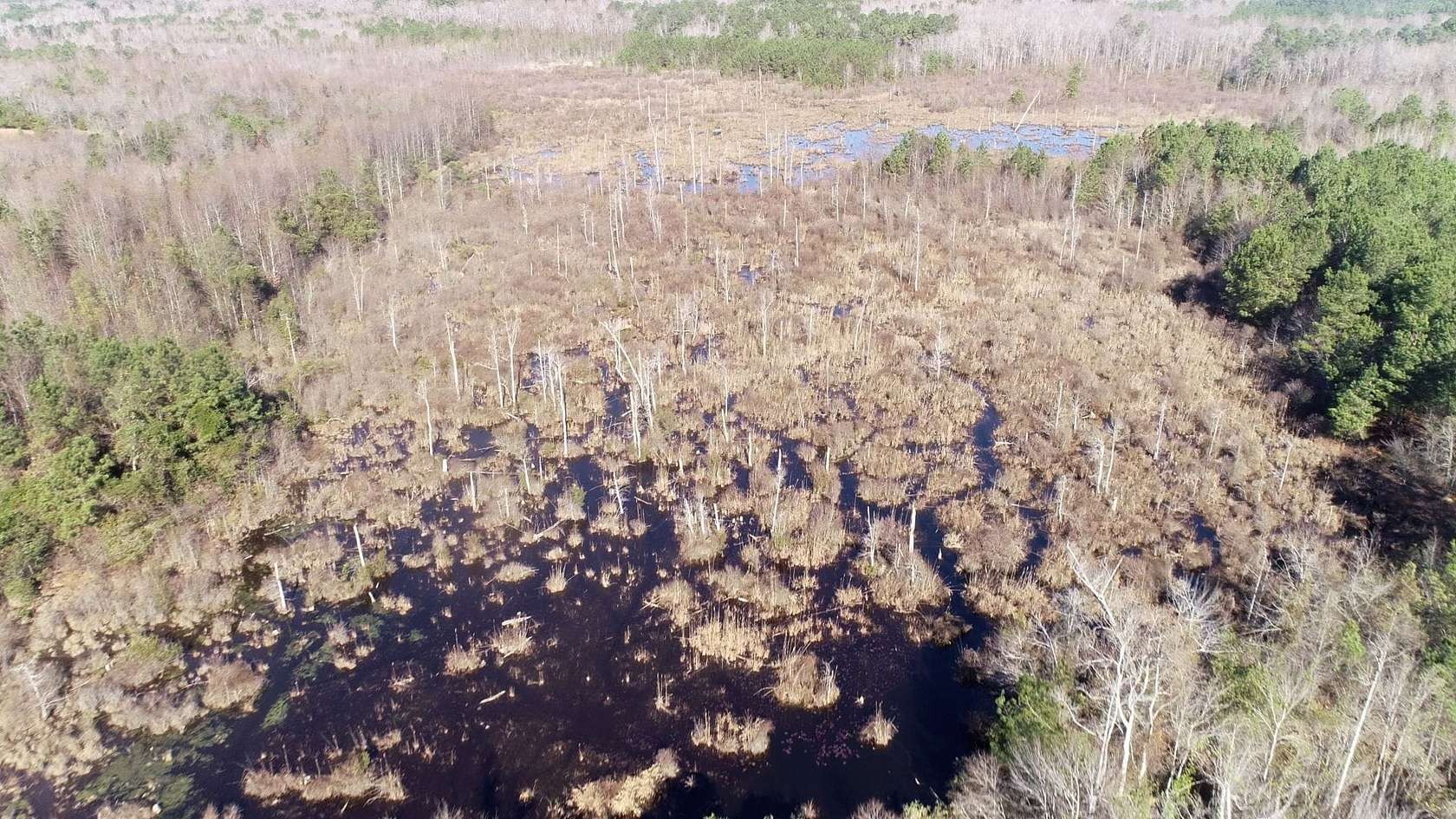 132 Acres of Land for Sale in Dalzell, South Carolina