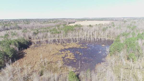 175 Acres of Land for Sale in Dalzell, South Carolina
