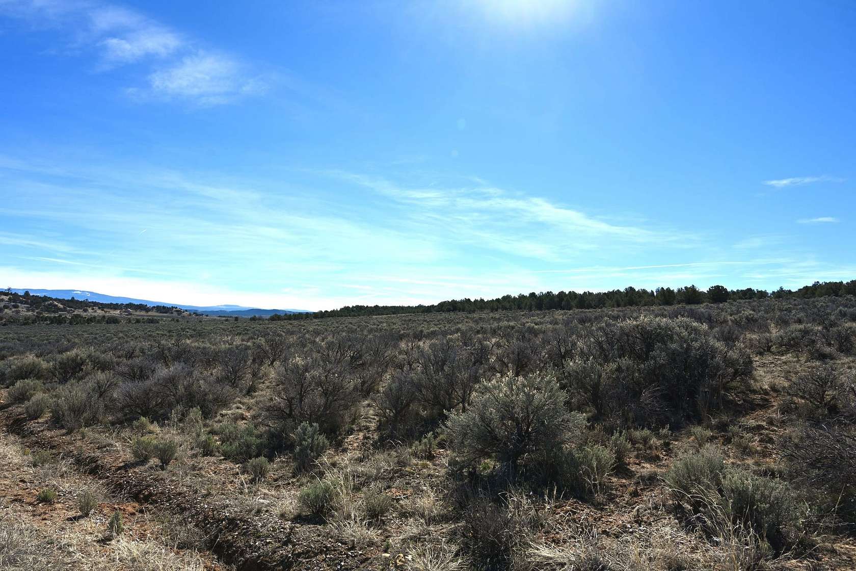20 Acres of Recreational Land for Sale in Tierra Amarilla, New Mexico