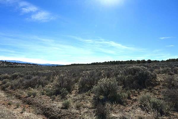 20 Acres of Recreational Land for Sale in Tierra Amarilla, New Mexico